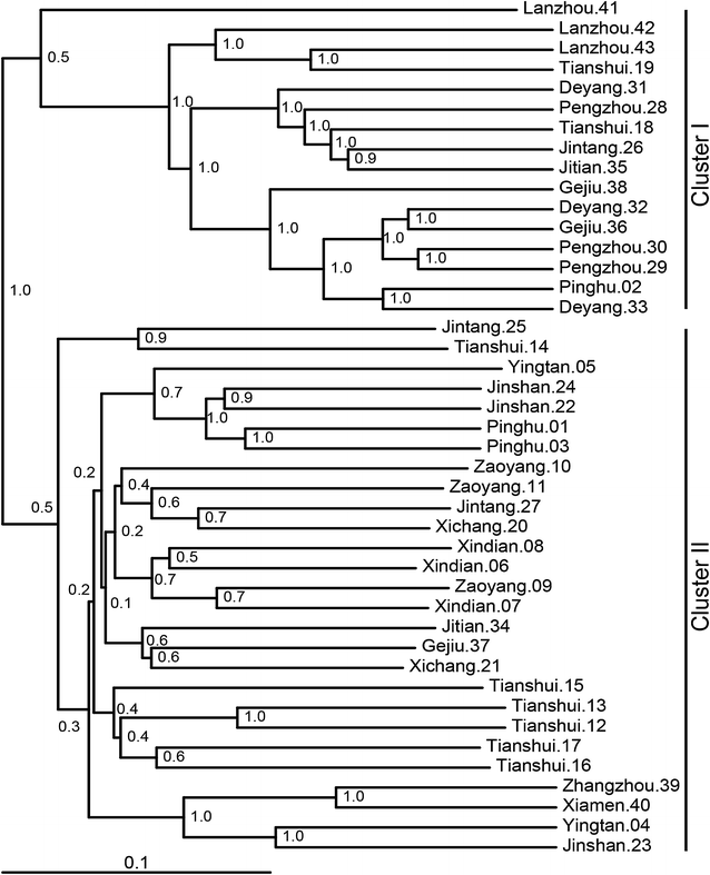 Fig. 1