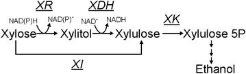 Fig. 1