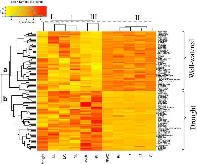 Fig. 2