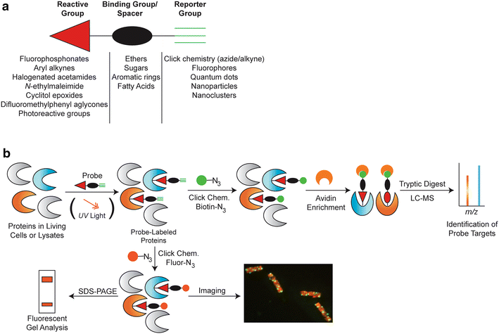 Fig. 1