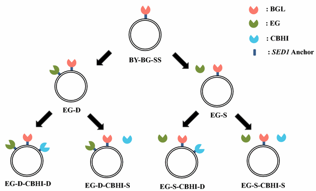 Fig. 1