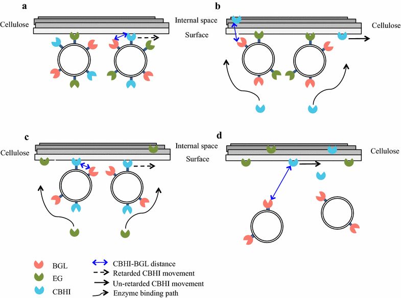 Fig. 6