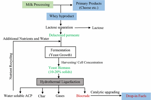 Fig. 6