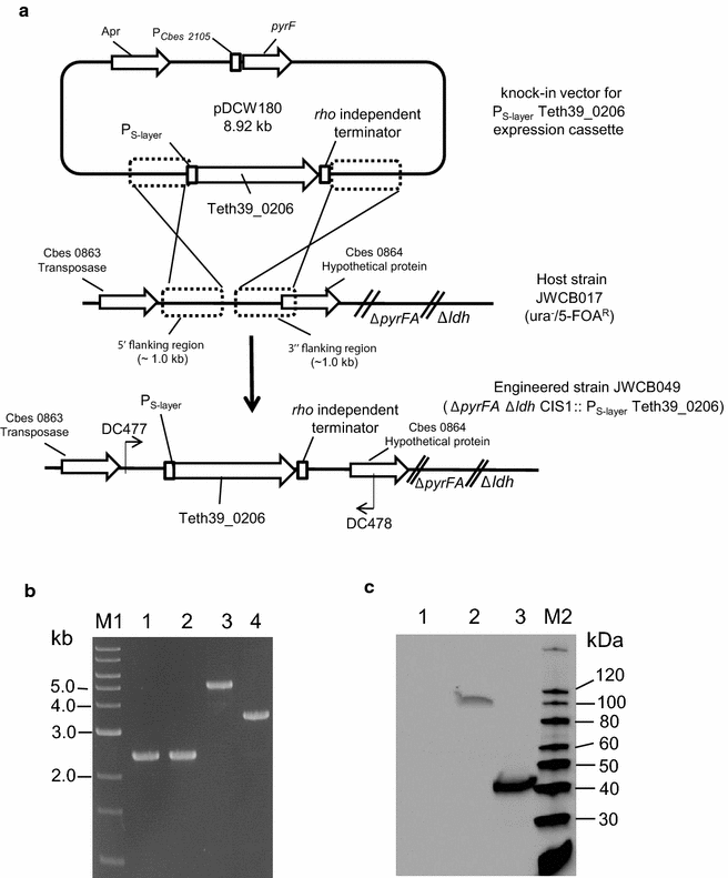 Fig. 3