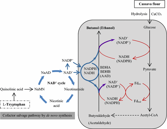 Fig. 4