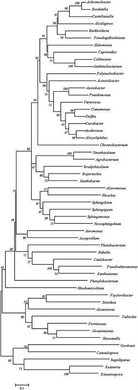 Fig. 5