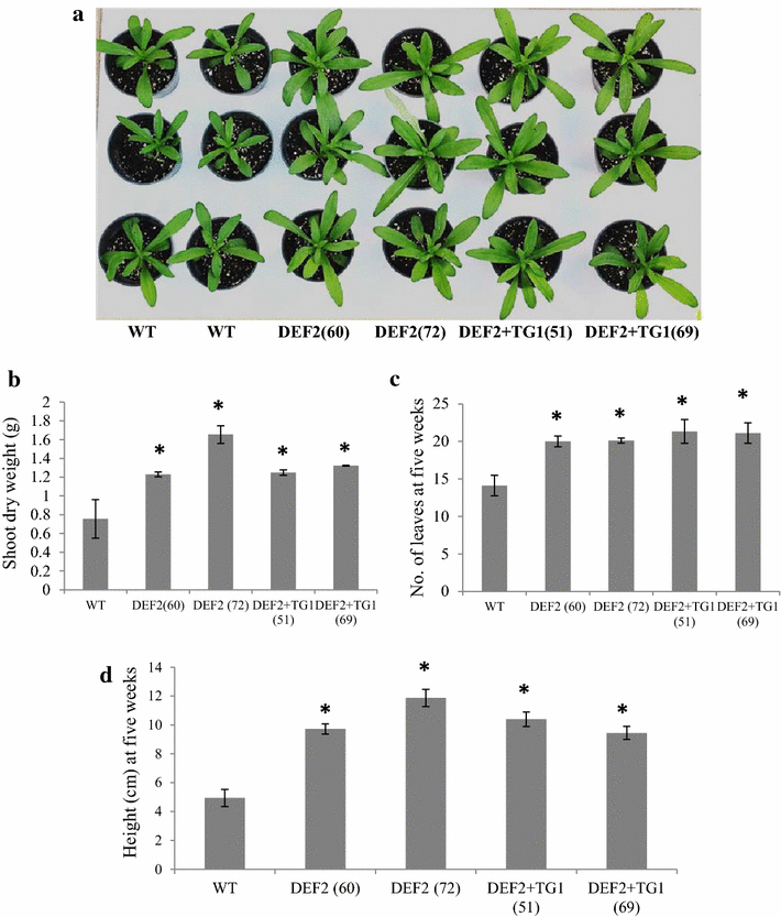 Fig. 4