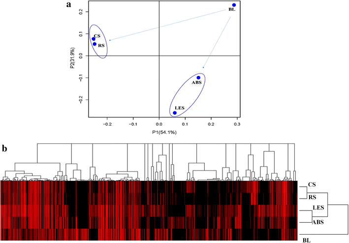 Fig. 5