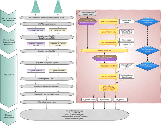 Fig. 3