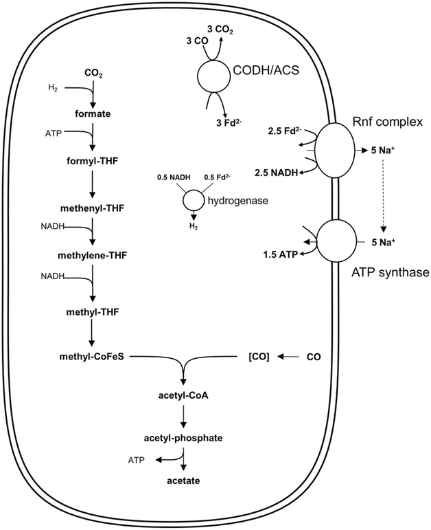 Fig. 3