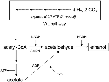 Fig. 4