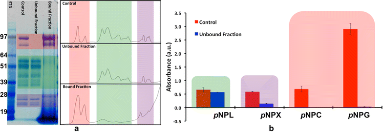 Fig. 3