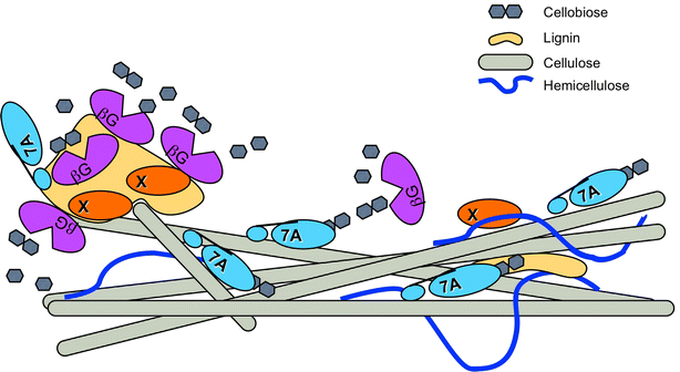 Fig. 9