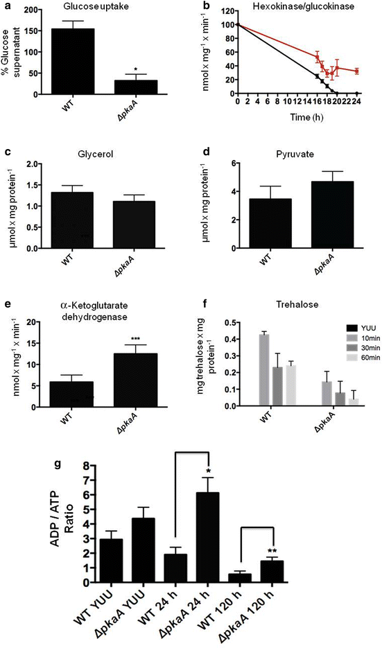 Fig. 7