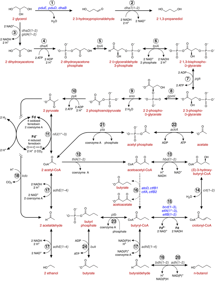 Fig. 4