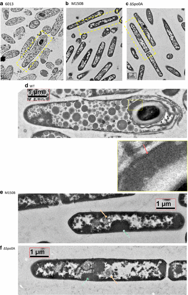 Fig. 7