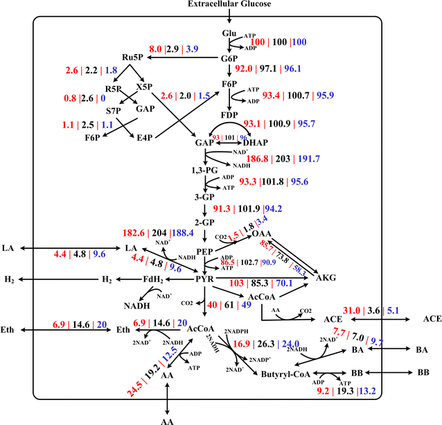 Fig. 5