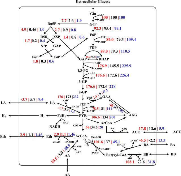 Fig. 6