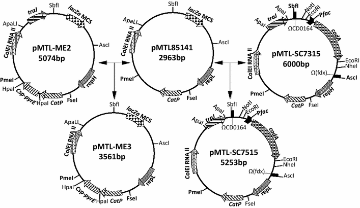 Fig. 1