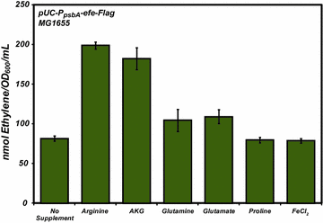 Fig. 3