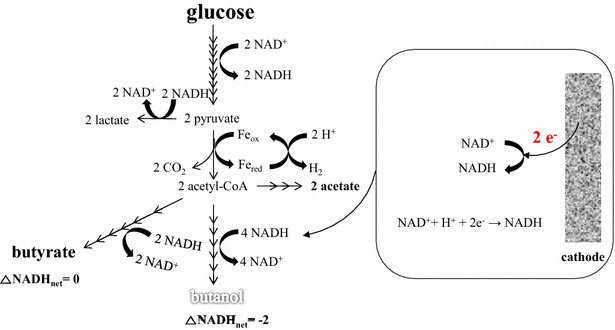 Fig. 4