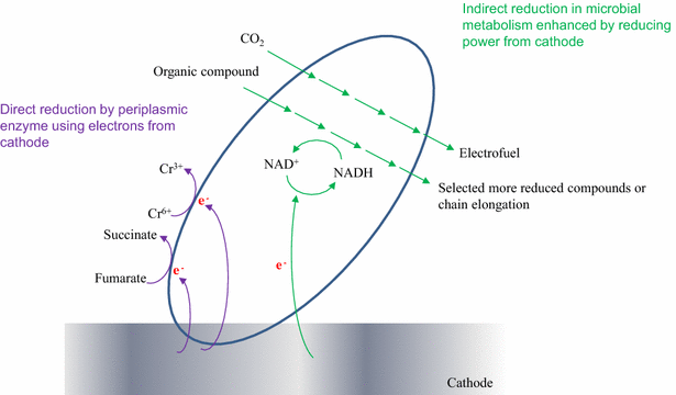 Fig. 6