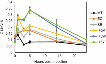 Fig. 4