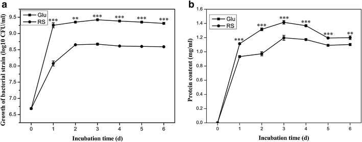 Fig. 5