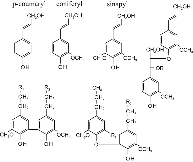 Fig. 1