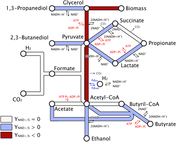 Fig. 2