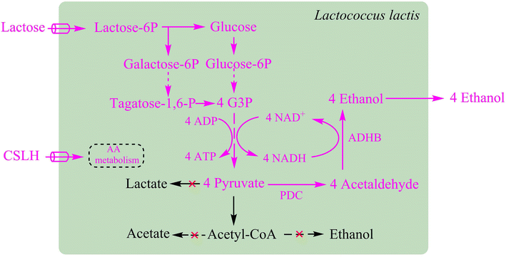 Fig. 1