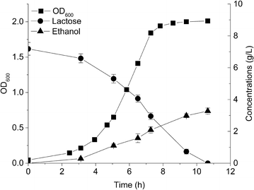 Fig. 2