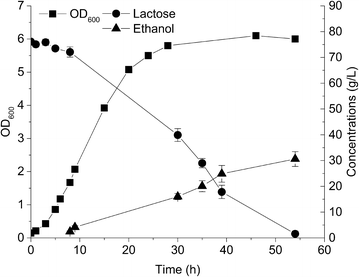 Fig. 6