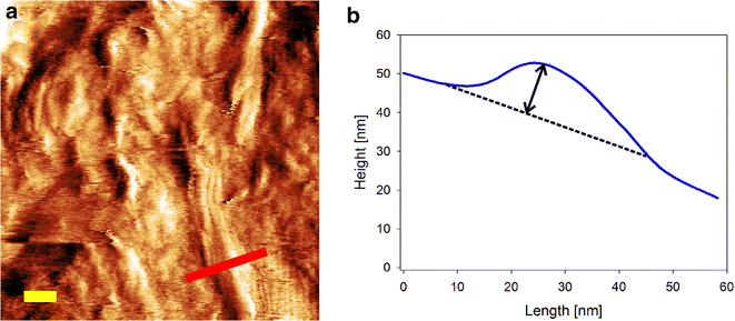 Fig. 10