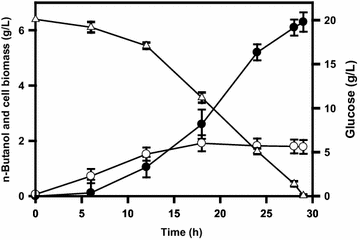 Fig. 5