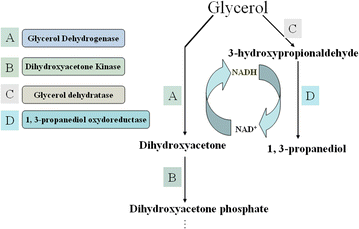 Fig. 1