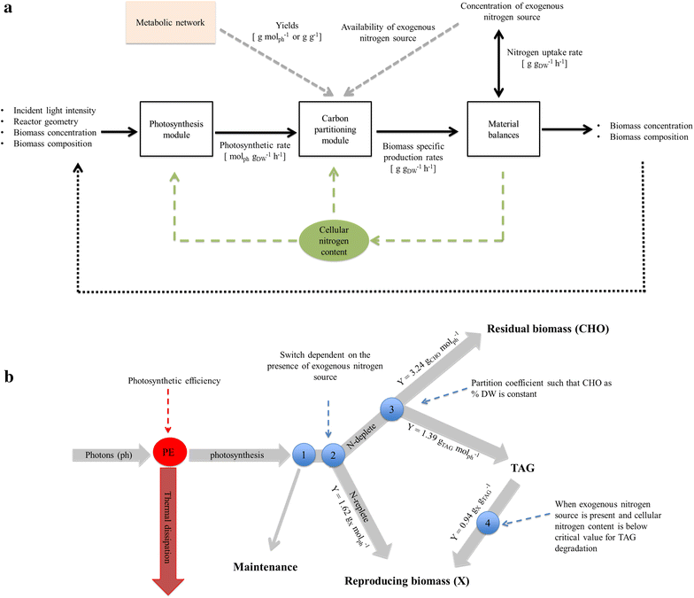 Fig. 7