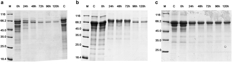 Fig. 4