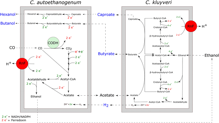 Fig. 7