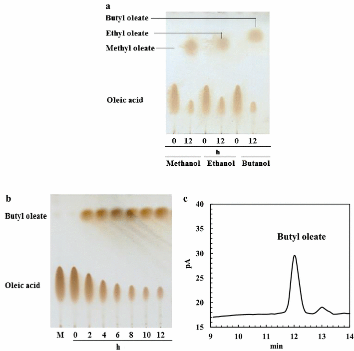 Fig. 7