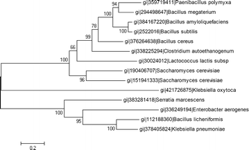 Fig. 7