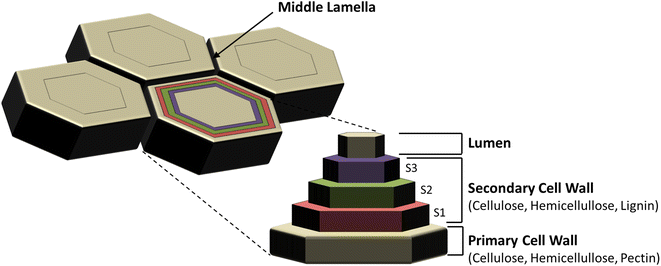 Fig. 1