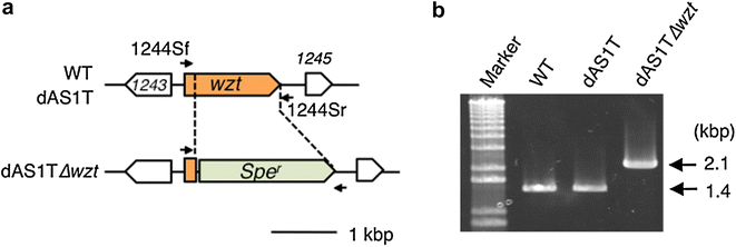 Fig. 3