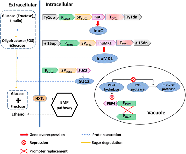 Fig. 1