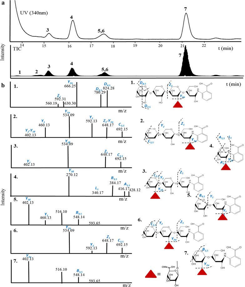 Fig. 3