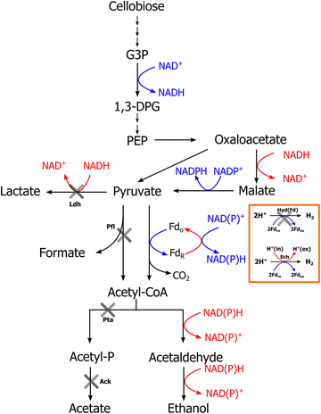 Fig. 1