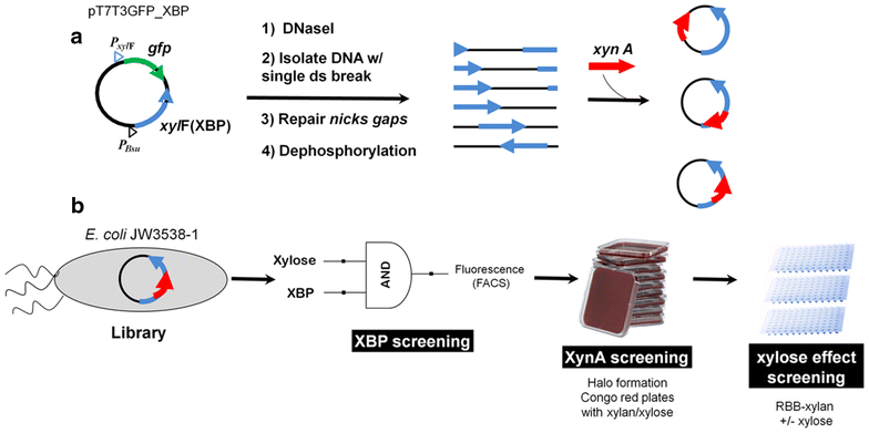 Fig. 1