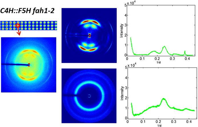 Fig. 13