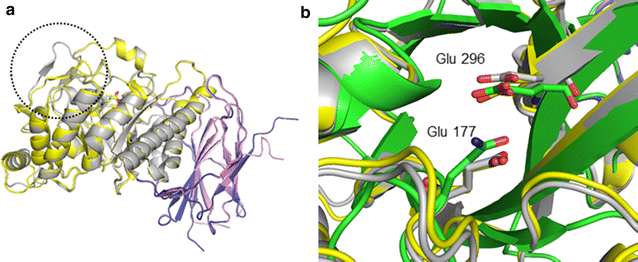 Fig. 4