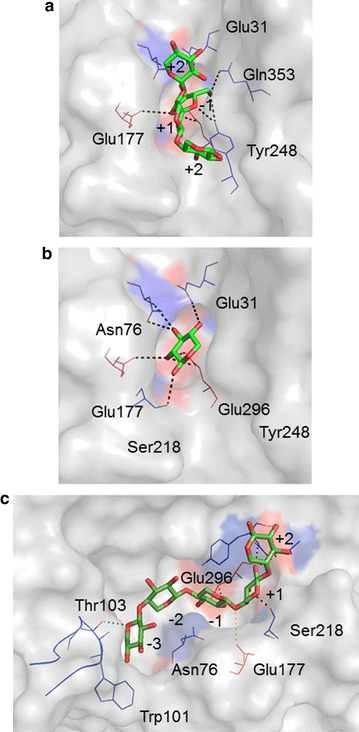 Fig. 5